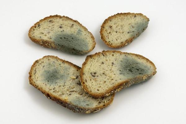 什麽是相對濕度和*對濕度(圖3) 1689066360398.jpg